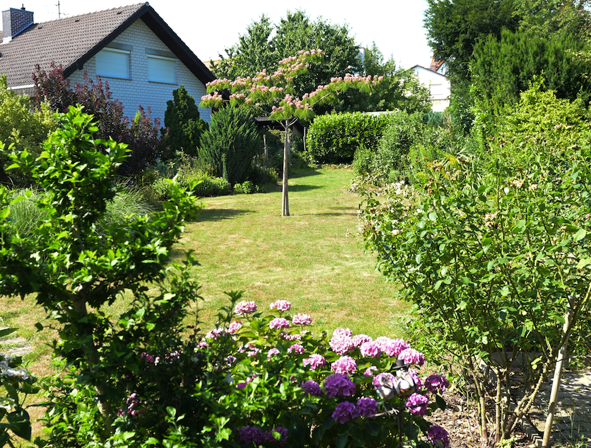 Thumbnail-Haus zum Kaufen in Weinheim OT 795.000,00 € 214 m²