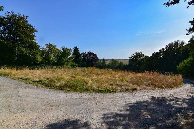 Thumbnail-Grundstück zu verkaufen in Crimmitschau 115.000,00 € 1226.75 m²