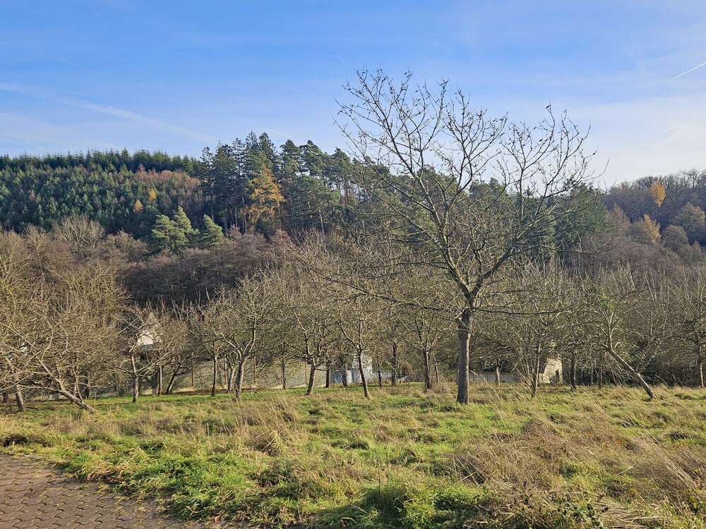 Thumbnail-Grundstück zu verkaufen in Sundern (Sauerland) 85.000,00 € 678 m²