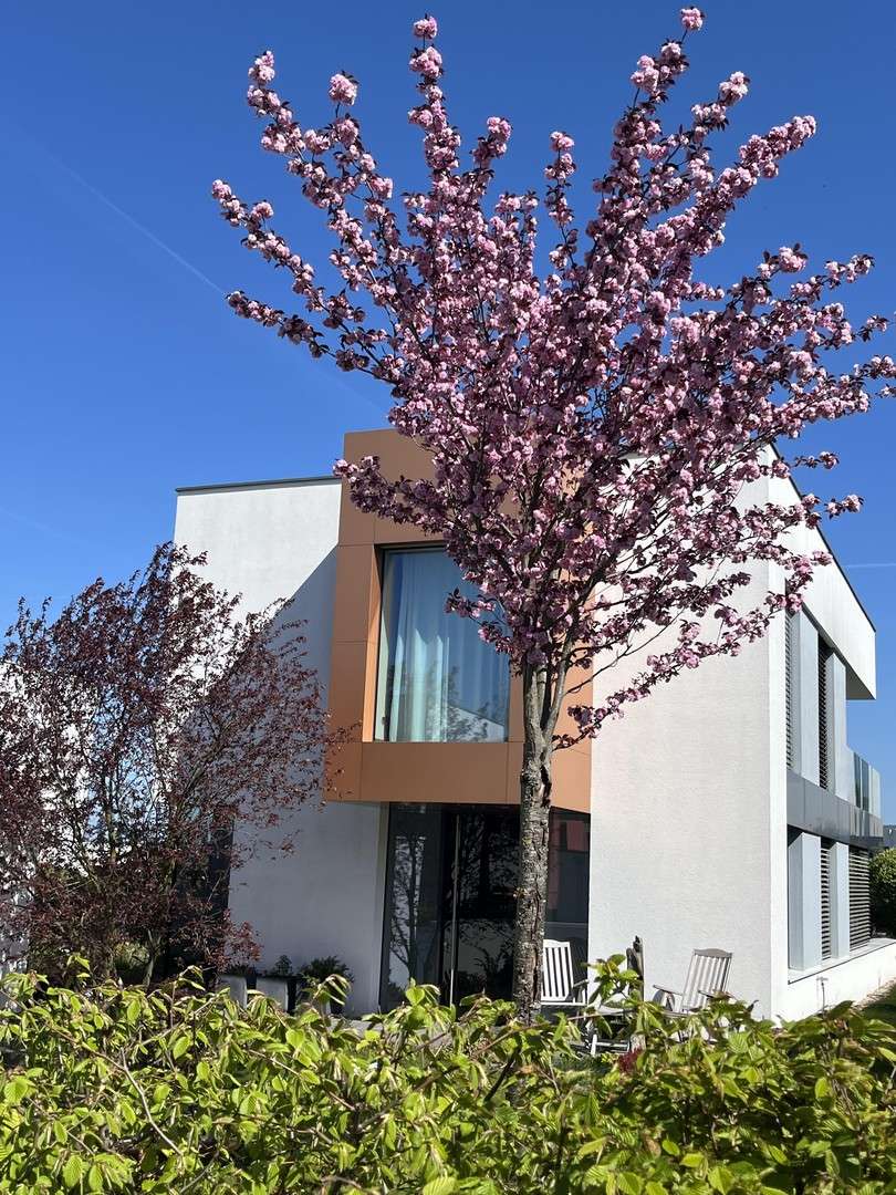 Thumbnail-Haus zum Kaufen in Zwenkau 980.000,00 € 173 m²