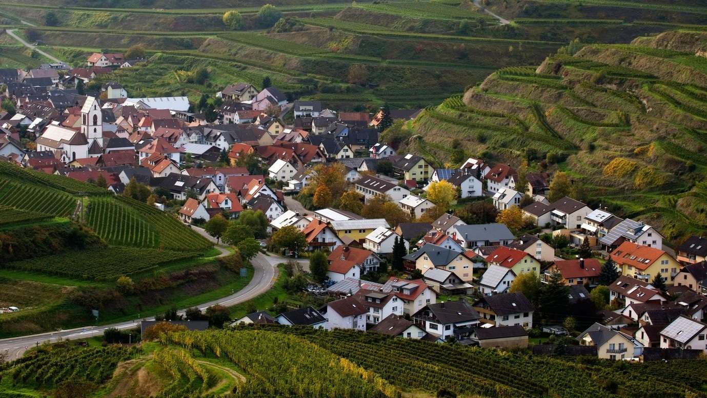 Thumbnail-Grundstück zu verkaufen in Vogtsburg i.K. 249.000,00 € 691 m²