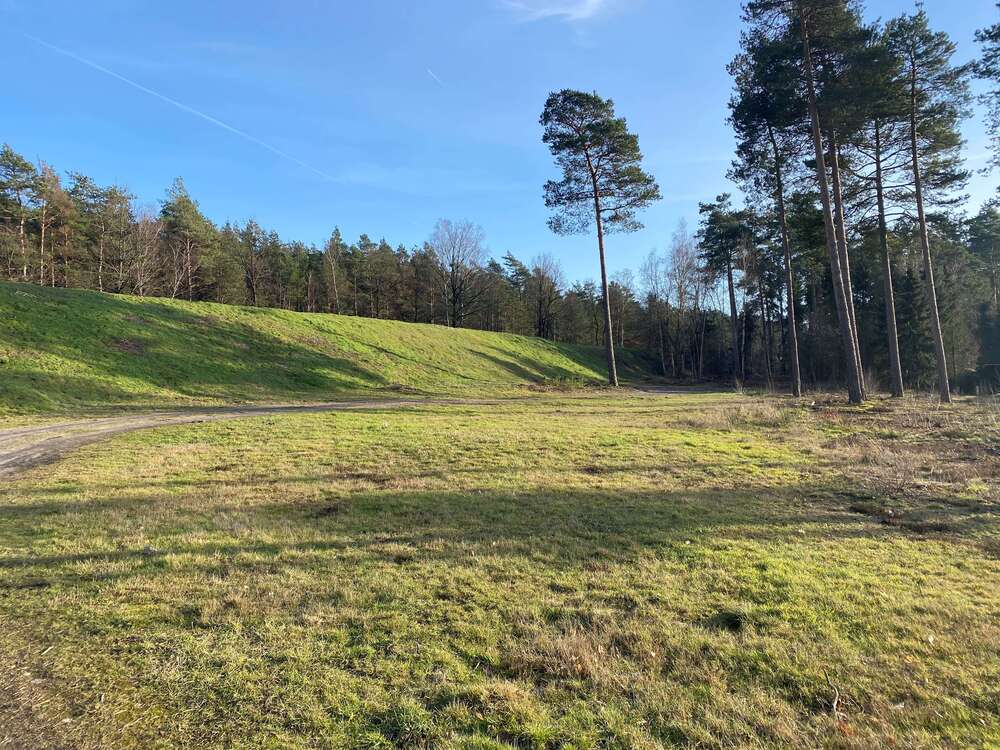 Thumbnail-Grundstück zu verkaufen in Sassenburg 42.100,00 € 324 m²