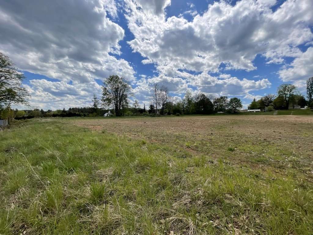 Thumbnail-Grundstück zu verkaufen in LichtensteinSachsen 84.660,00 € 498 m²