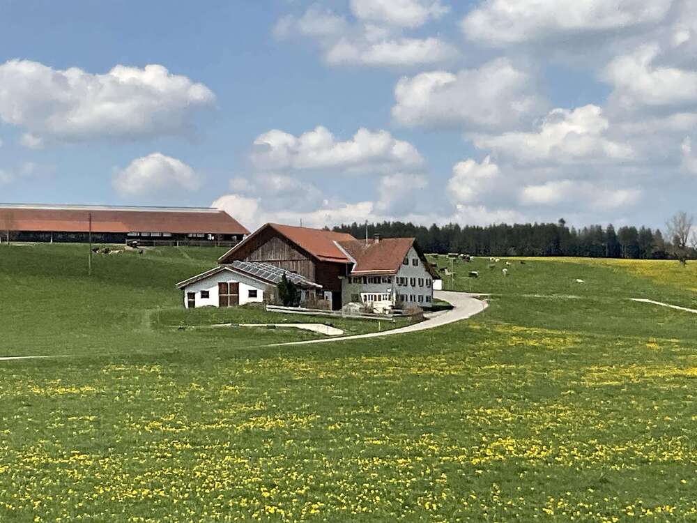 Thumbnail-Haus zum Kaufen in Aitrang 595.000,00 € 155 m²