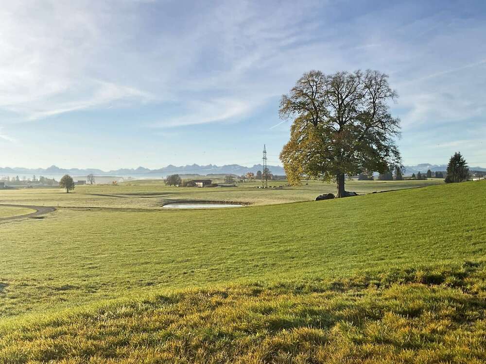 Thumbnail-Haus zum Kaufen in Aitrang 595.000,00 € 155 m²