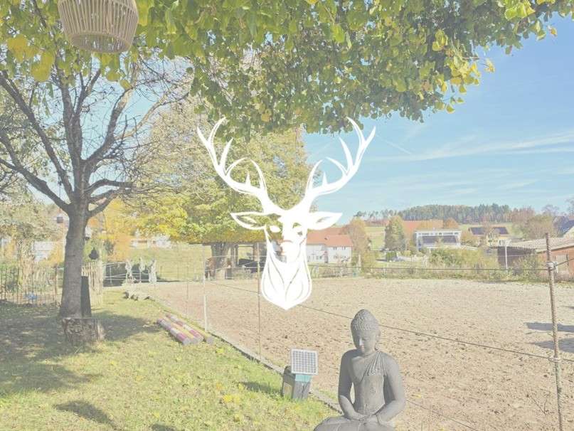 Thumbnail-Haus zum Kaufen in Leibertingen 799.000,00 € 298 m²