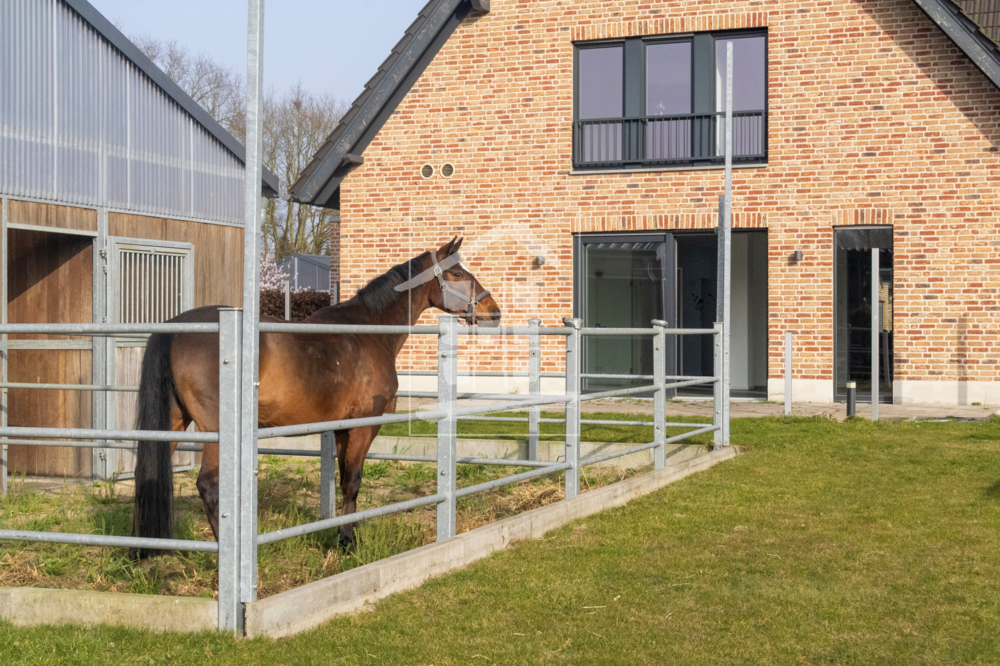 Thumbnail-Haus zum Kaufen in Schermbeck 798.800,00 € 203.61 m²