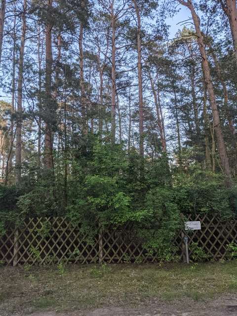 Thumbnail-Grundstück in Borkwalde 53.000,00 € 1002 m²