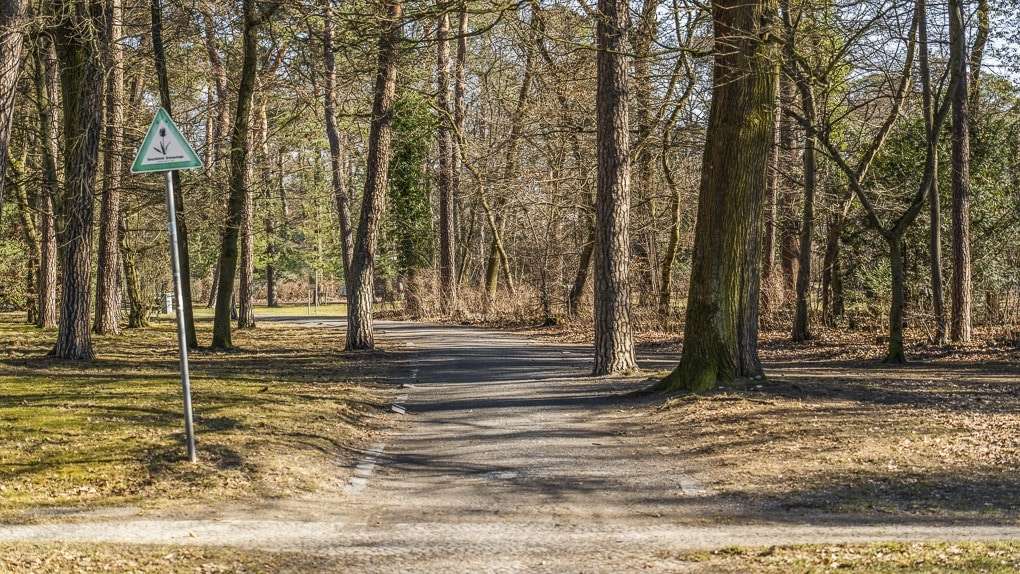 Thumbnail-Wohnung zum Kaufen in Berlin 639.000,00 € 89 m²