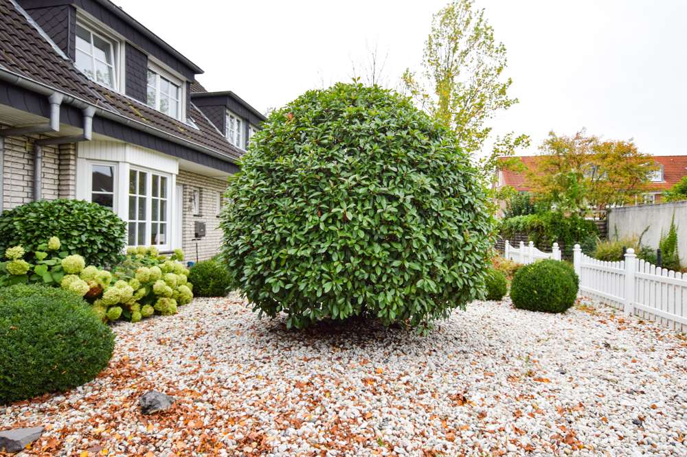 Thumbnail-Haus zum Kaufen in Köln 770.000,00 € 139 m²