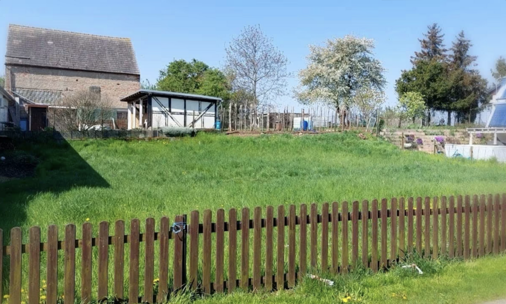 Thumbnail-Grundstück zu verkaufen in Kretzschau 34.500,00 € 596 m²