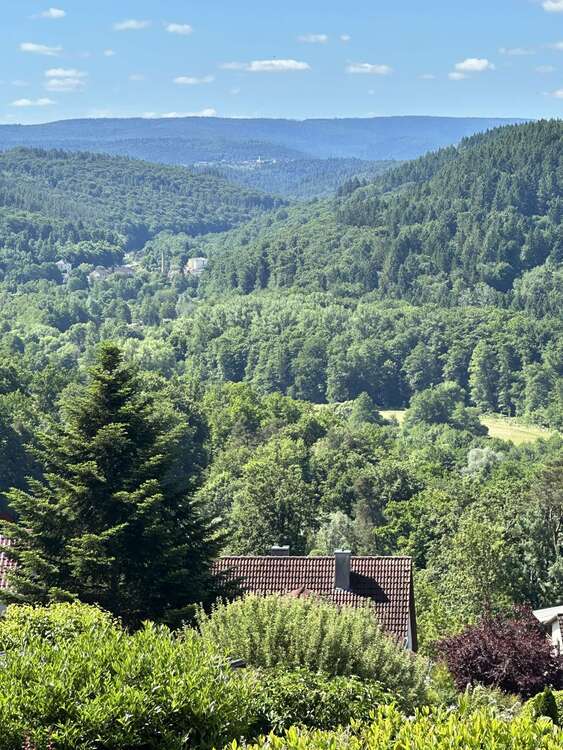 Thumbnail-Haus zum Kaufen in Waldbronn 399.000,00 € 173.18 m²