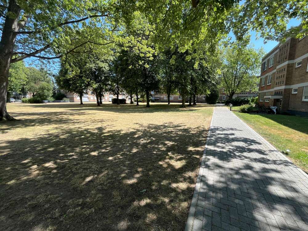 Thumbnail-Wohnung zum Mieten in Düsseldorf 690,00 € 53.35 m²
