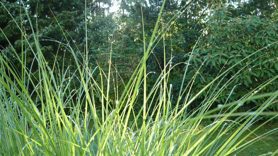 Thumbnail-Grundstück zu verkaufen in Ottobrunn 1.100.000,00 € 410 m²