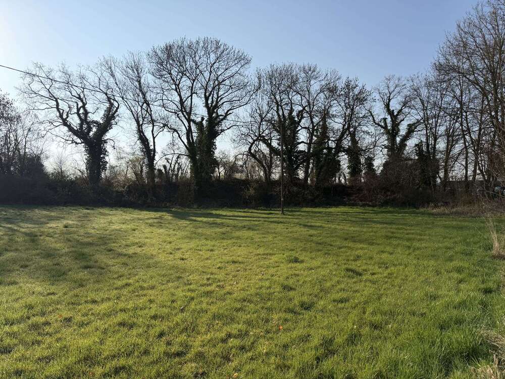 Thumbnail-Grundstück zu verkaufen in Münstermaifeld 370.000,00 € 2454 m²