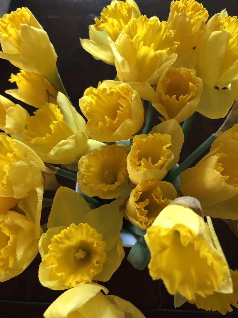 Thumbnail-Wohnung zum Kaufen in Rottenburg am Neckar 555.000,00 € 160 m²