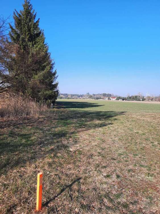Thumbnail-Grundstück zu verkaufen in Schönwald 69.990,00 € 763 m²