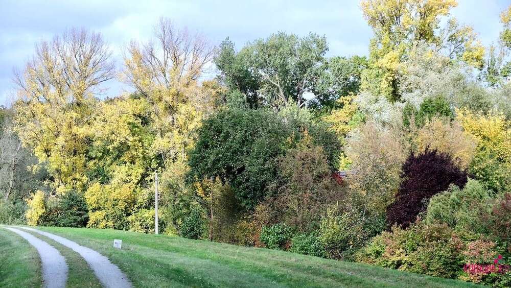 Thumbnail-Grundstück zu verkaufen in Baarz 15.000,00 € 640 m²