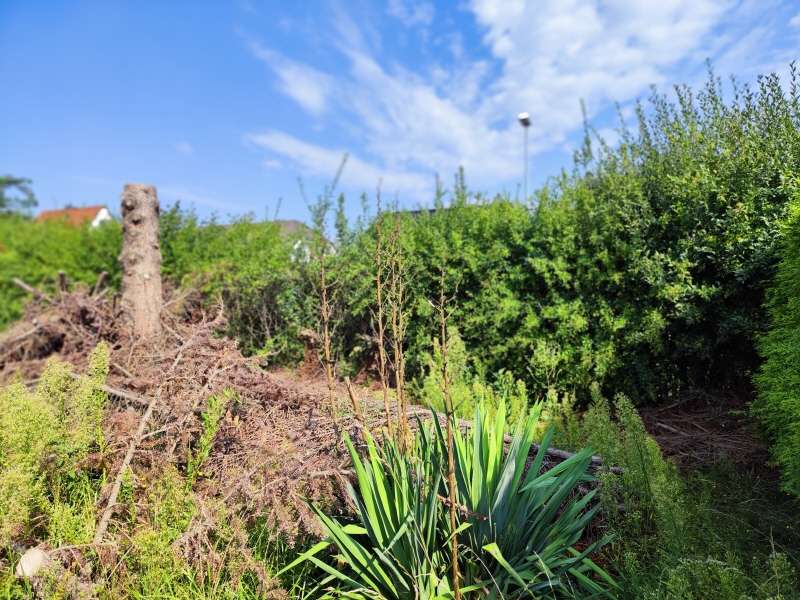 Thumbnail-Grundstück zu verkaufen in Magdeburg 136.000,00 € 350 m²