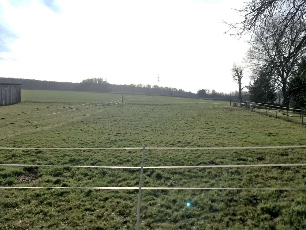 Thumbnail-Grundstück zu verkaufen in Uslar 49.000,00 € 810 m²