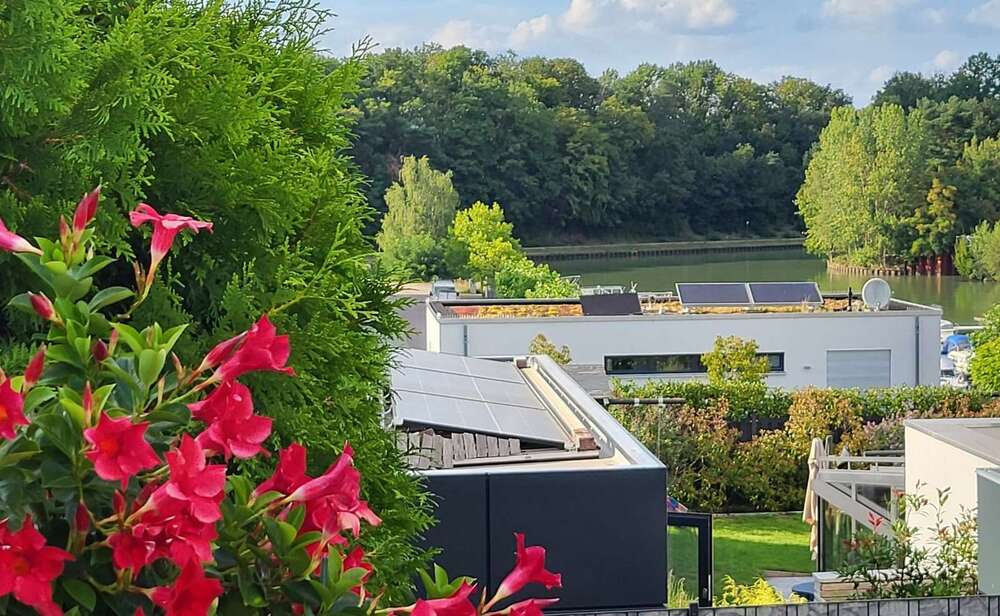 Thumbnail-Haus zum Kaufen in Meine 598.500,00 € 128.72 m²