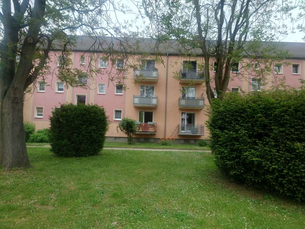 Thumbnail-Wohnung zum Mieten in Frankfurt Oder 425,00 € 50 m²