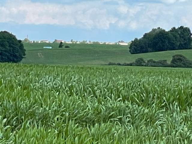 Thumbnail-Grundstück zu verkaufen in Dorf Mecklenburg 77.142,00 € 598 m²