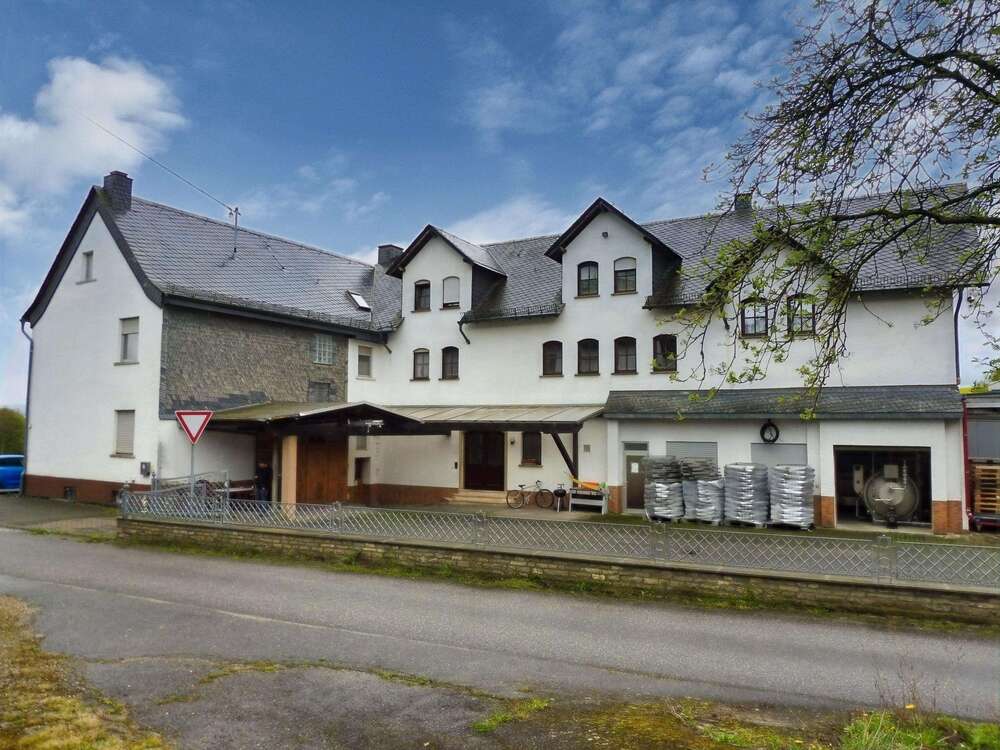 Thumbnail-Haus zum Kaufen in Dickenschied 490.000,00 € 415 m²