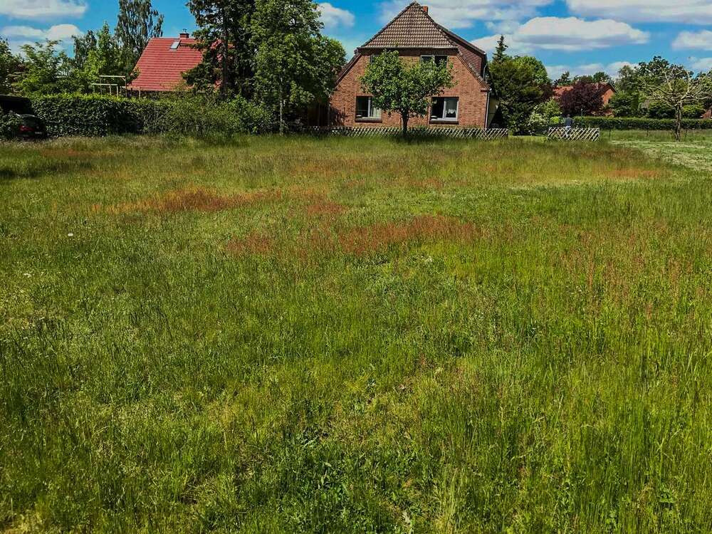 Thumbnail-Grundstück zu verkaufen in Adendorf 279.000,00 € 1013 m²