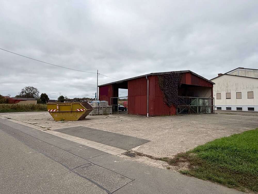 Thumbnail-Grundstück zu verkaufen in Freckenfeld 164.000,00 € 814 m²