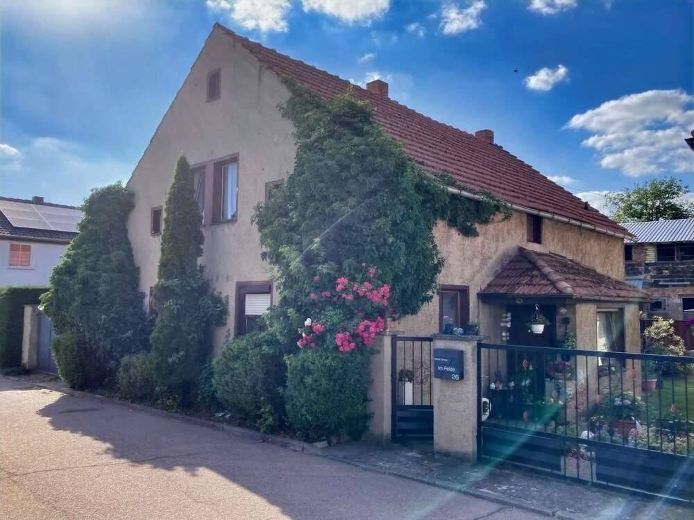 Thumbnail-Haus zum Kaufen in Sangerhausen 79.000,00 € 100 m²