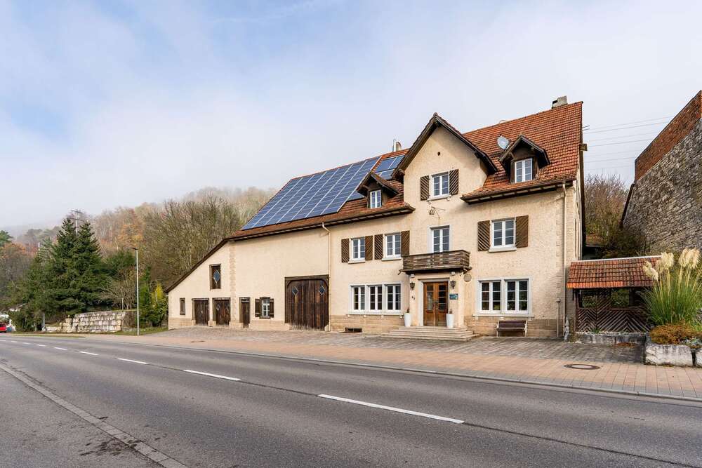 Thumbnail-Haus zum Kaufen in Klettgau 810.000,00 € 450 m²