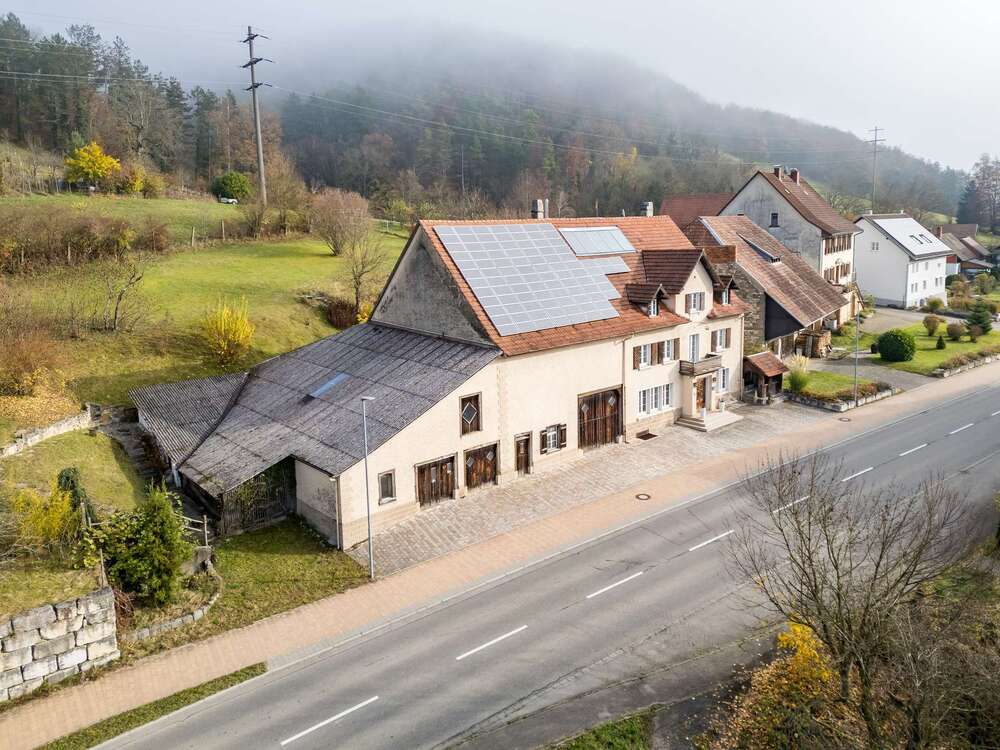 Thumbnail-Haus zum Kaufen in Klettgau 810.000,00 € 450 m²