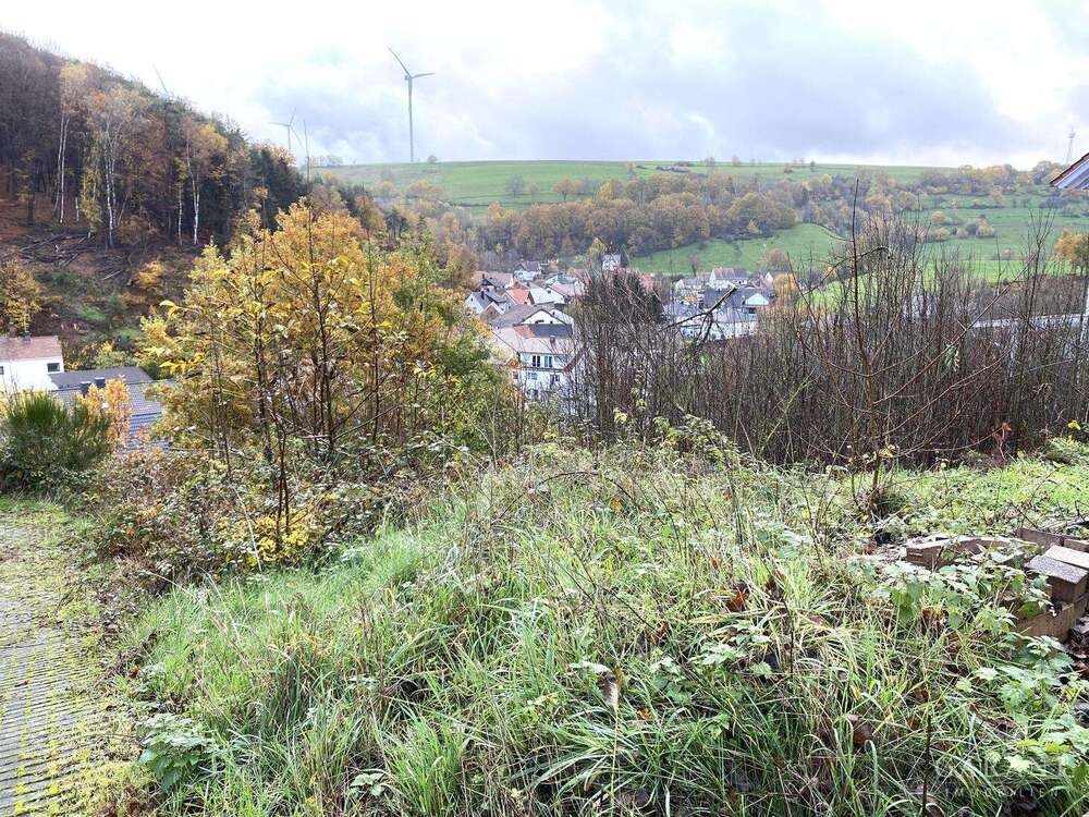 Thumbnail-Grundstück zu verkaufen in Obernheim-Kirchenarnbach 59.000,00 € 704 m²