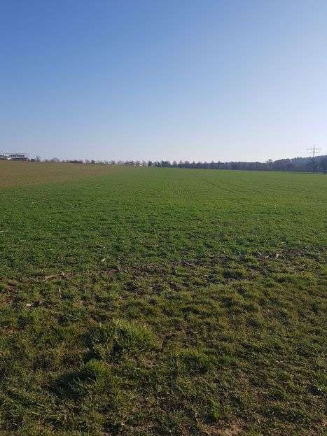 Thumbnail-Grundstück in Leinfelden-Echterdingen 39.500,00 € 1260 m²