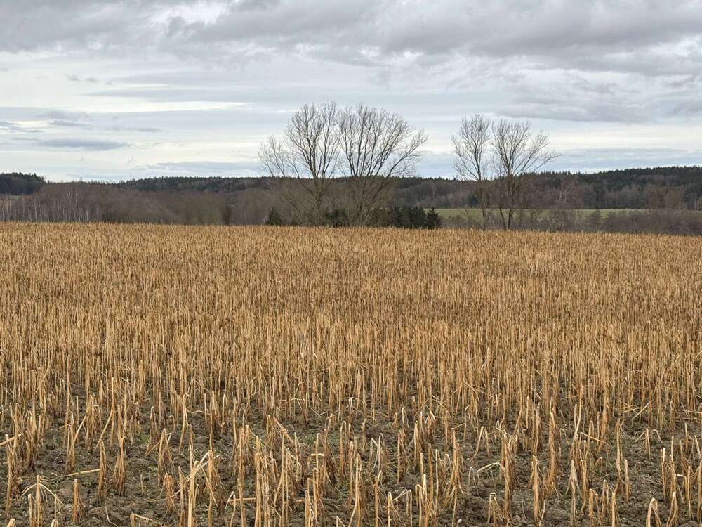 Thumbnail-Grundstück in Pfeffenhausen Oberlauterbach 472.032,00 € 26224 m²