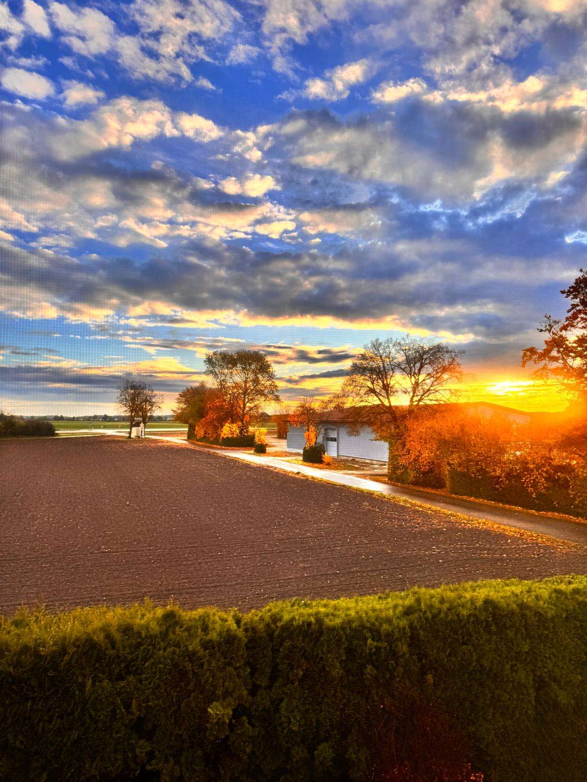 Thumbnail-Haus zum Kaufen in Dillingen 1.150.000,00 € 270 m²