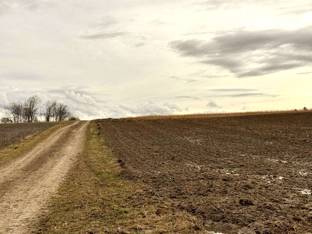 Thumbnail-Grundstück in Pfeffenhausen Oberlauterbach 373.050,00 € 20725 m²