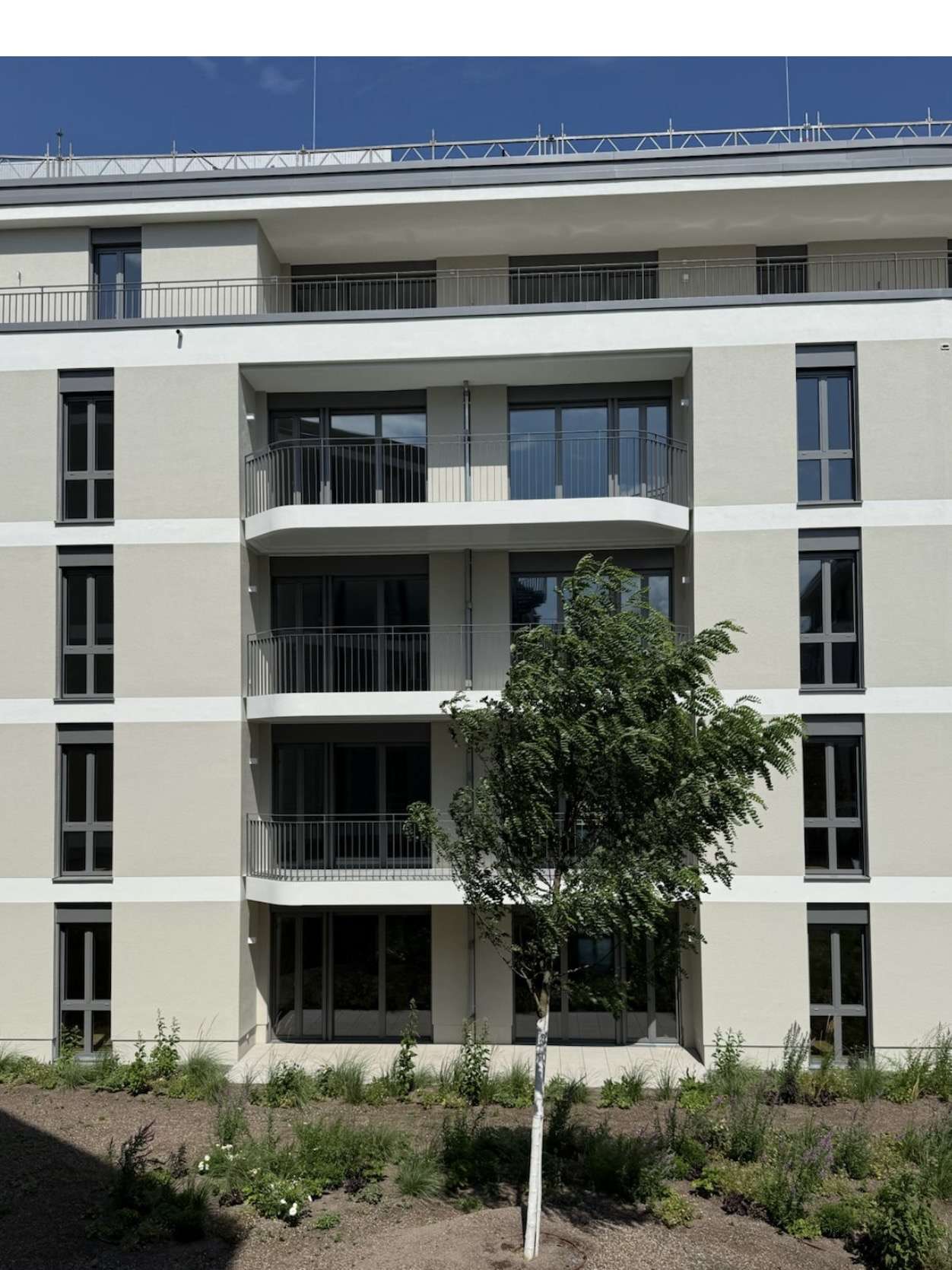Thumbnail-Wohnung zum Mieten in Mainz-Kastel 1.290,00 € 49.43 m²