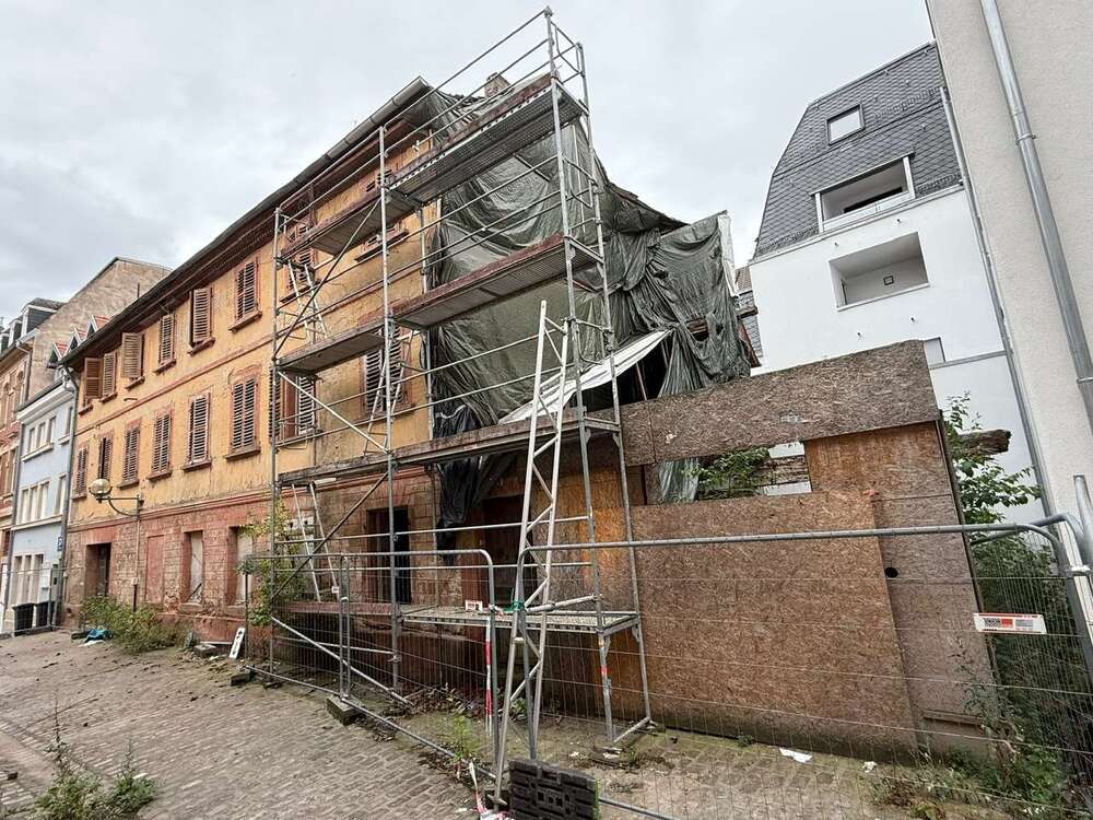 Thumbnail-Haus zum Kaufen in Landau 479.200,00 € 368 m²