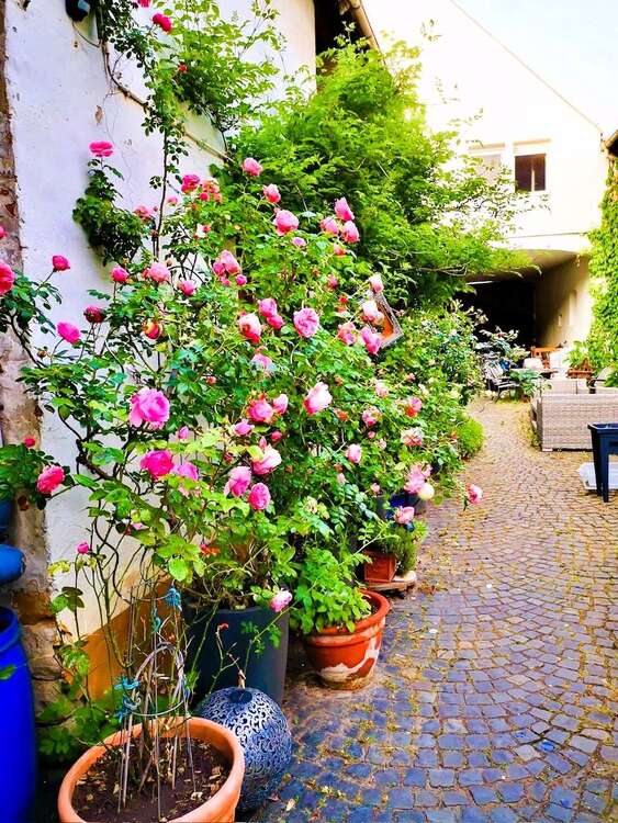 Thumbnail-Haus zum Kaufen in Ludwigshafen 630.000,00 € 160 m²