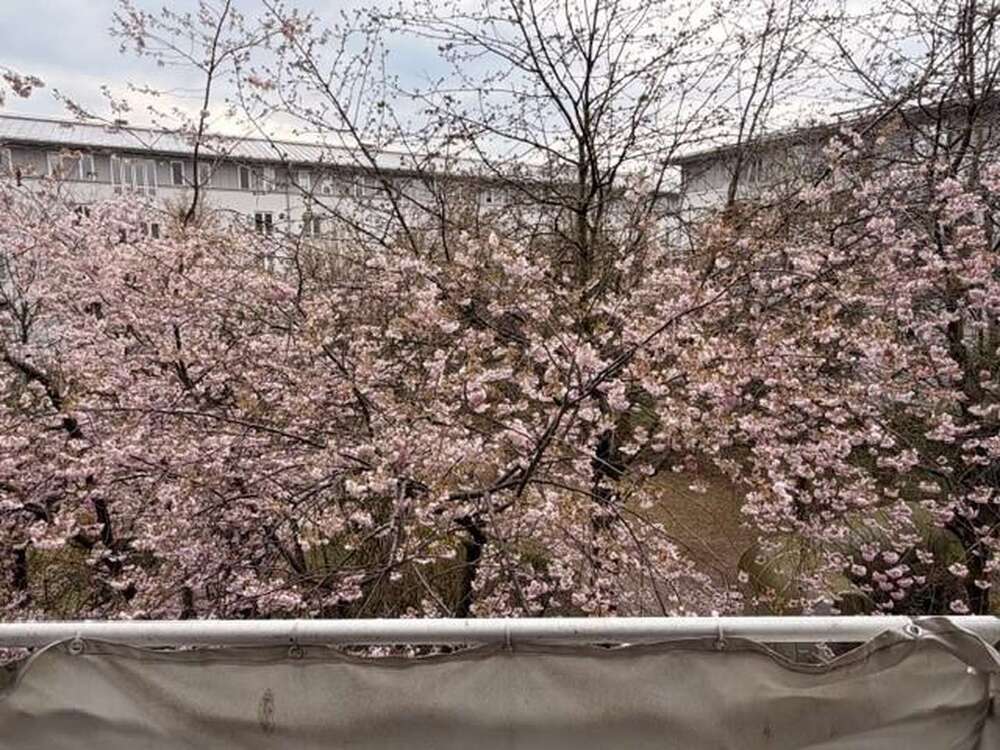 Thumbnail-Wohnung zum Mieten in München 1.050,00 € 41.27 m²