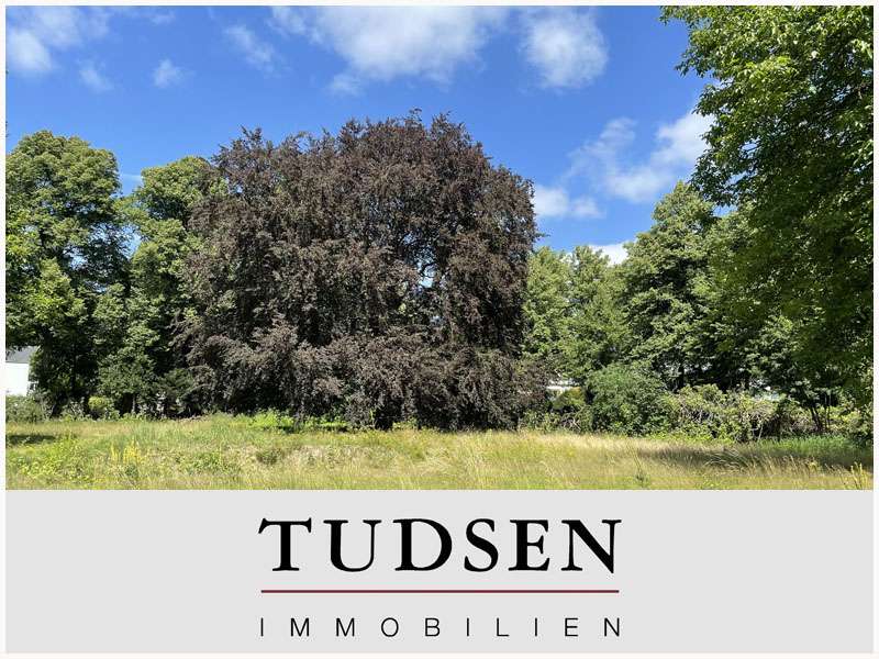 Thumbnail-Grundstück zu verkaufen in Hamburg 1.097.850,00 € 1689 m²
