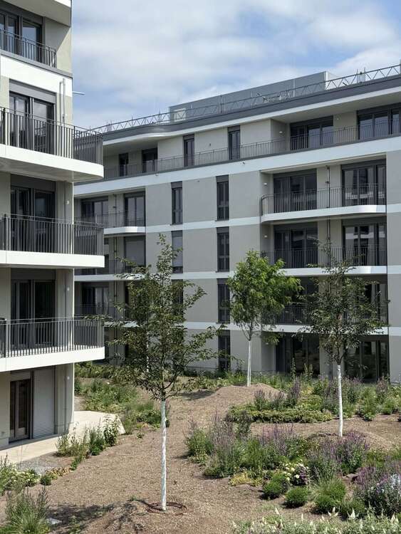 Thumbnail-Wohnung zum Mieten in Mainz-Kastel 2.770,00 € 120.45 m²