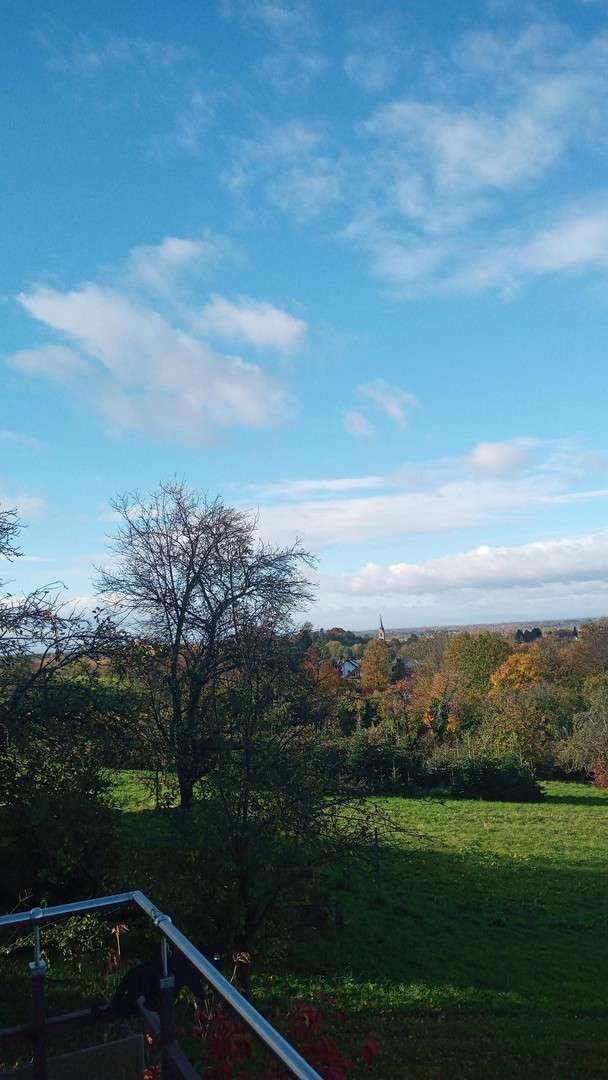 Thumbnail-Wohnung zum Mieten in Baden-Baden 1.400,00 € 196 m²