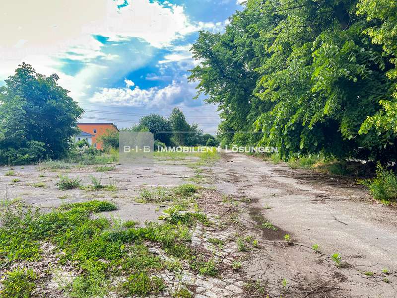 Thumbnail-Grundstück in Berlin Marzahn 1.190.000,00 € 5113 m²