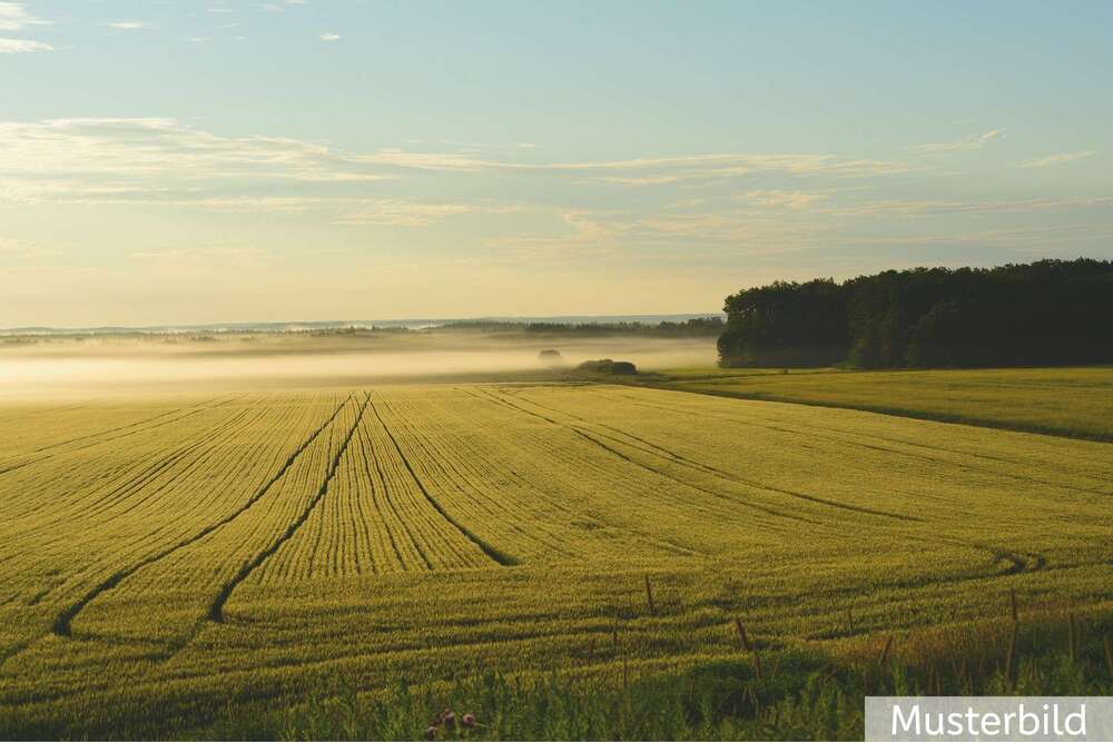 Thumbnail-Grundstück zu verkaufen in Tecklenburg 499.000,00 € 52947 m²