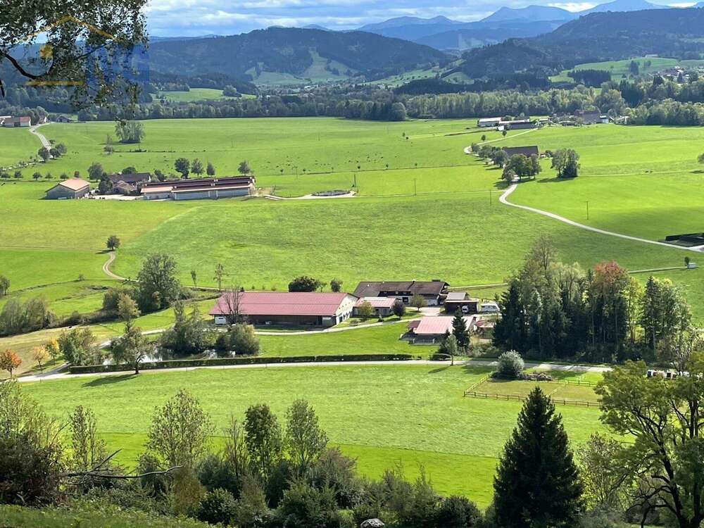 Thumbnail-Haus zum Kaufen in Isny im Allgäu 3.190.000,00 € 540 m²