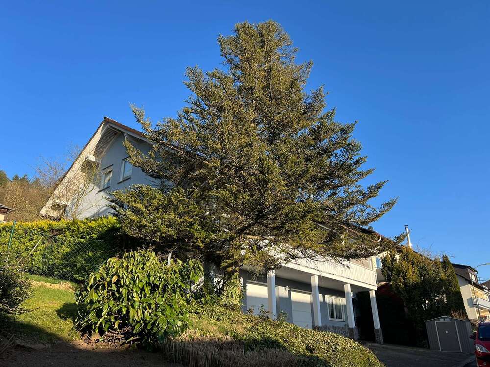 Thumbnail-Haus zum Kaufen in Brachttal 449.000,00 € 220 m²