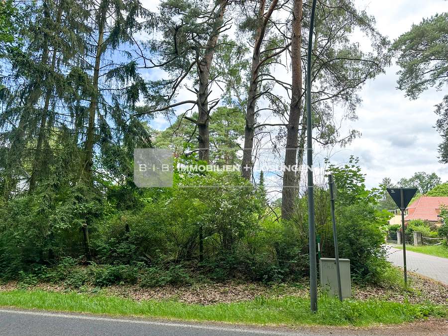 Thumbnail-Grundstück zu verkaufen in Senzig 375.000,00 € 1124 m²